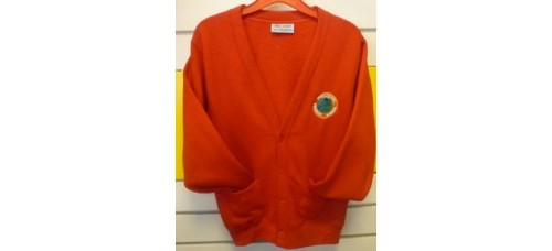 Cardigan - Nantymoel Primary